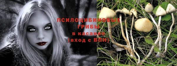 СК Армянск